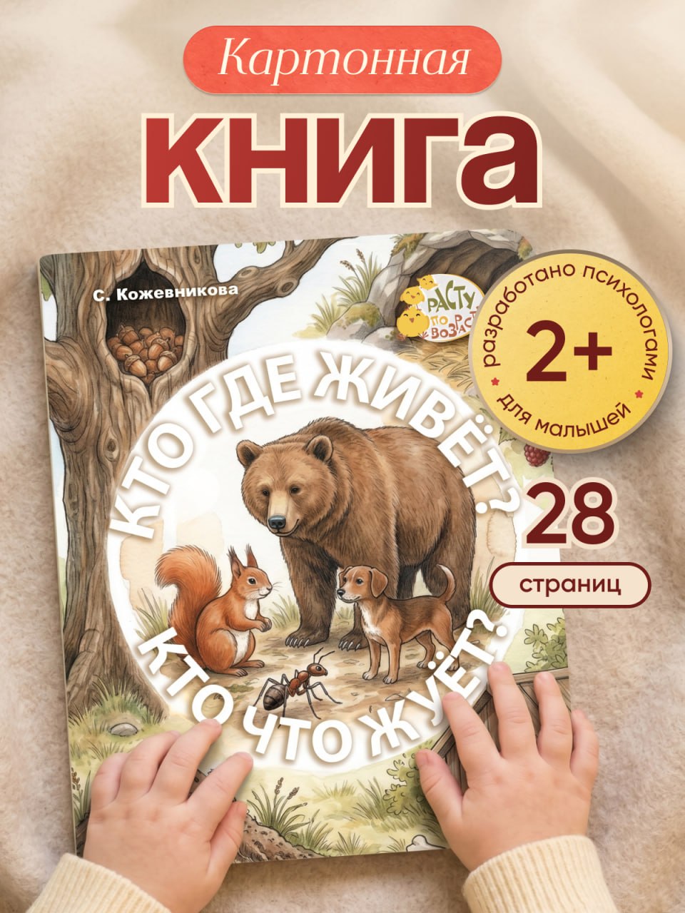 «Кто где живет? Кто что жует?» 0+